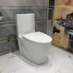 Toilet-8110