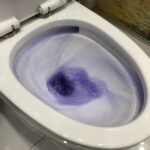⁦Toilet-8110⁩ - الصورة ⁦13⁩
