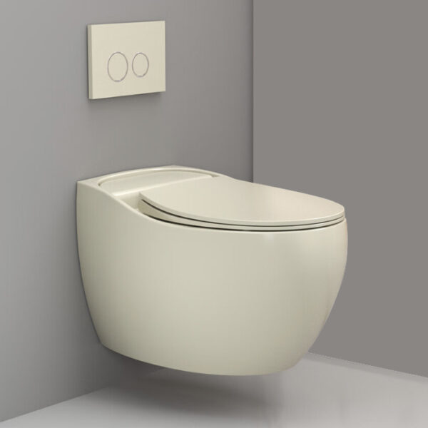 Wall mounted Toilet-008
