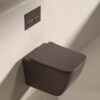 Wall mounted Toilet-006