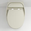 Wall mounted Toilet-008 - Image 8