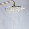 Shower head-05 - Image 4