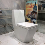 Toilet-8024