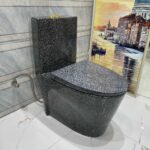 Toilet-8069
