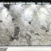 Slabs-G032 - Image 4