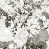 Slabs-G004 - Image 3
